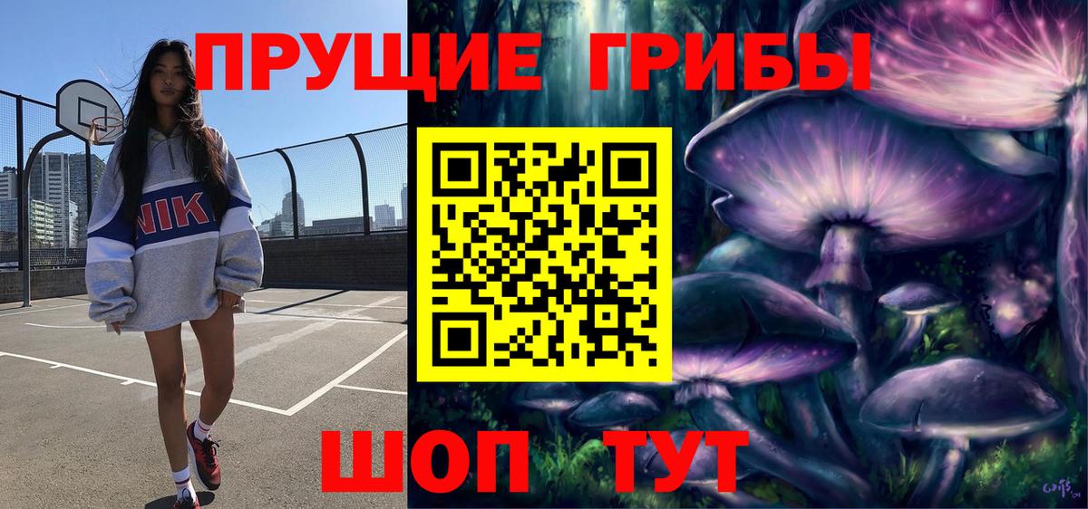 Псилоцибиновые грибы Cubensis Лениногорск
